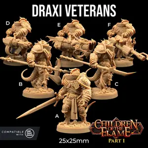 Draxi Veterans Heroes Weapon Variations | The Dragon Trappers Lodge | 32mm Scale | Miniature TTRPG Mini DnD Dungeons and Dragons Wargame