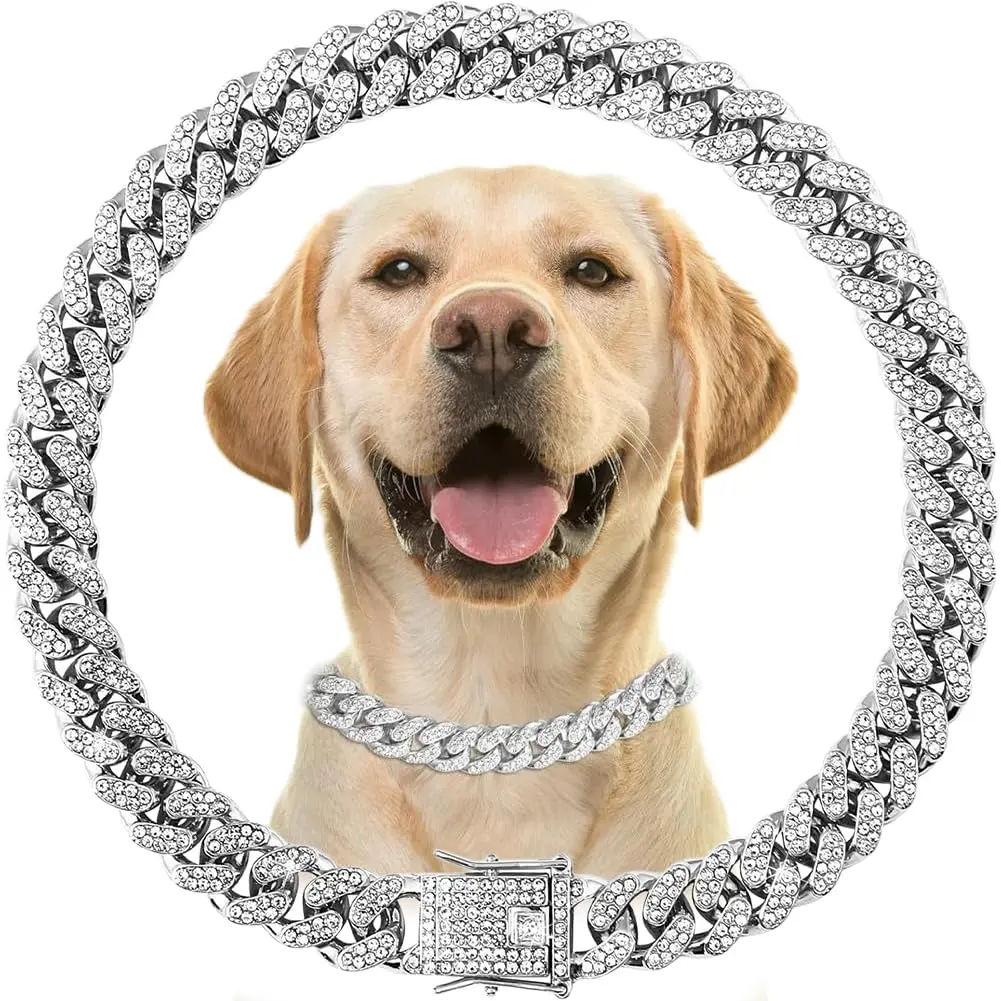 dog chains necklace pitbull - TikTok Shop