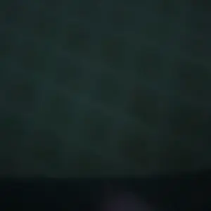 review image 5