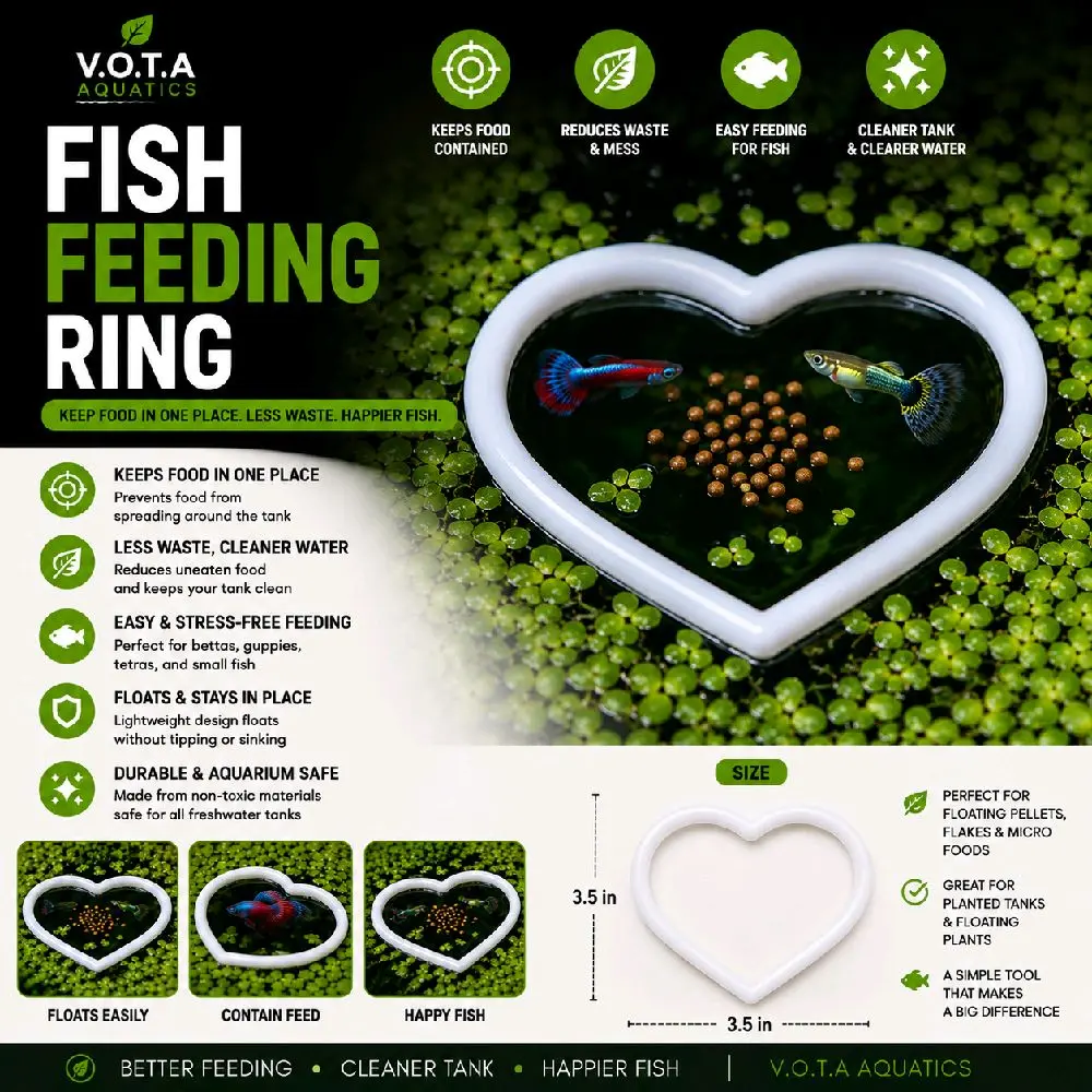 1 Heart Floating Fish Feeding Ring | Aquarium Food Feeder | Betta, Guppy & Nano Fish