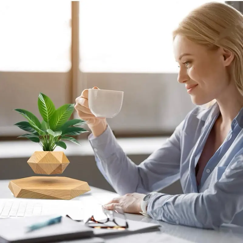 Floating Plant Pot, Magnetic Levitating Bonsai Pot with 360 Rotation,  Creative Home & Office Desk Decor, Air Suspension Flower Planter for Indoor  Plants - TikTok Shop