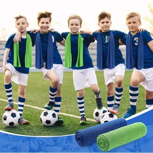 30 Pack Cooling Towels, 40"x12" Ice Breathable Soft Chilly Sweat Rag Microfiber Workout Rags for Gym Cooling Towels for Neck and Face for Yoga Golf Sport Running