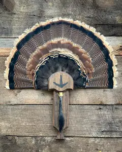 Turkey Fan Plaque (Box Call)