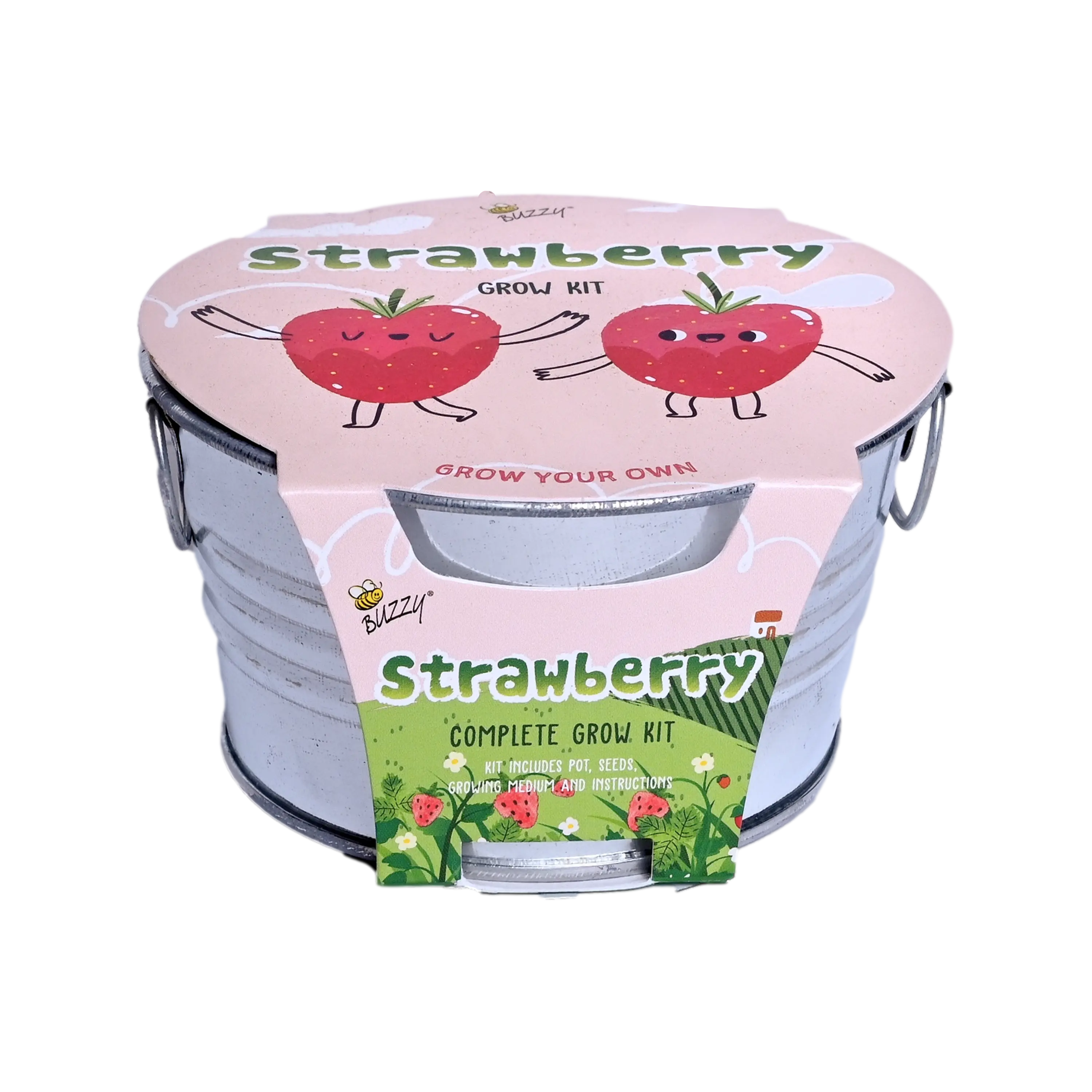 Kids Strawberry Grow Kit | Mini Galvanized Basin