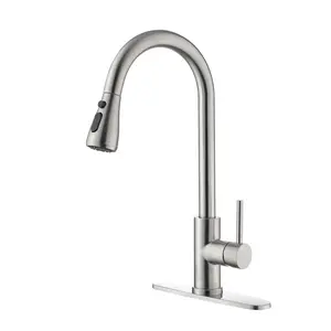 Brushed Nickel Pull-Out Kitchen Faucet - High Arc