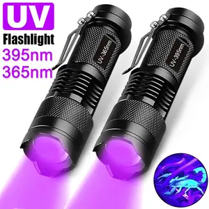 UV Flashlight