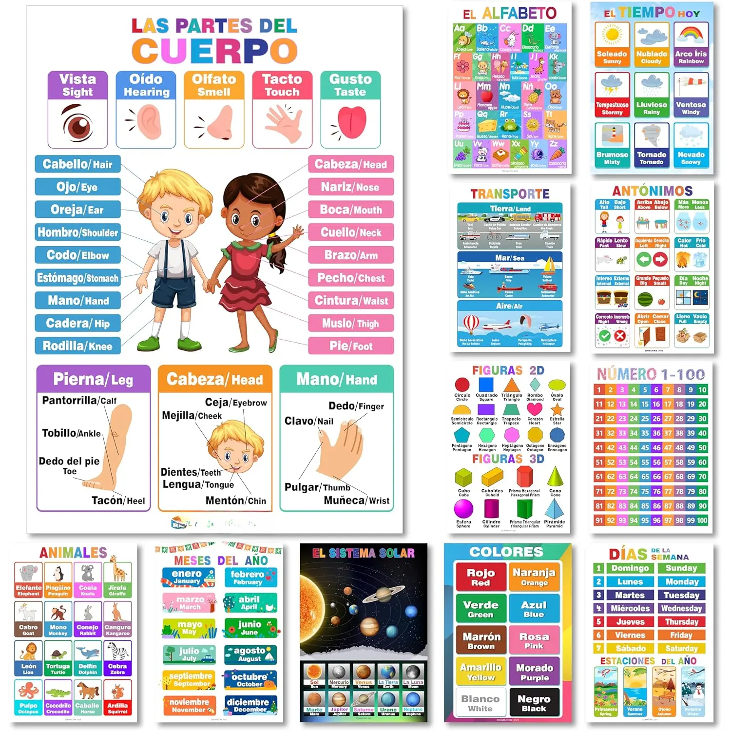 12 Spanish-English Bilingual Educational Waterproof Posters, Learning Charts for 1st Grade Classroom Decoration, Alphabet, Alfabeto, Numbers, Seasons, Colors, Months, Days of the Week