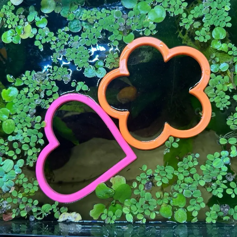 TankTopia Heart & Flower Shaped Feeding Rings for Fish Tank - Unique Design for Aquarium Use - Floating Plants Duckweed - Enhance Aesthetics