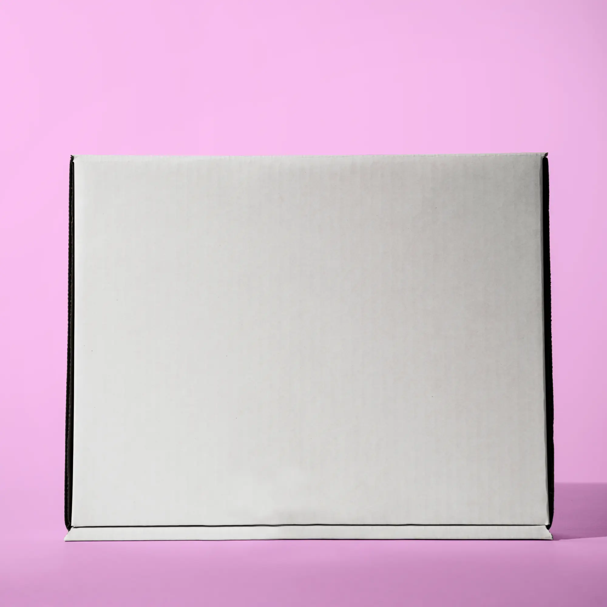 Blank Literature Mailer Box / 550 units