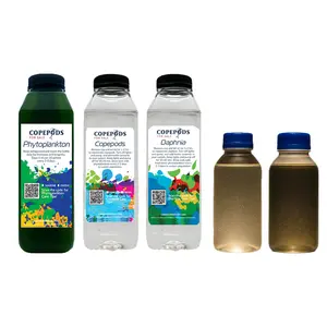 Freshwater Aquarium Ecosystem Starter Pack – Phyto, Copepods, Daphnia, Microworms & Rotifers