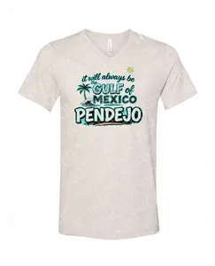 Gulf of Mexico Pendejo Tee – Funny Political T-Shirt for the Petty & Proud