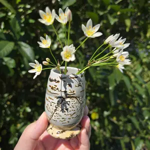 Picture Jasper Crystal Vase