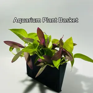 Aquarium Plant Basket - Simple Plant Holder for Your Aquarium Needs