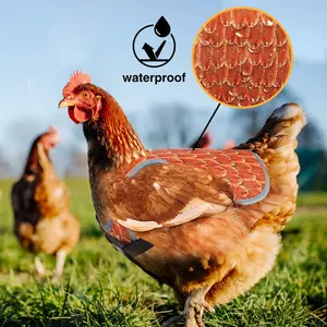 Waterproof Chicken Apron, Pet Protection Vest for Chickens Ducks Geese, Warm Backless Coat, Essential Farm Gear, Durable Design