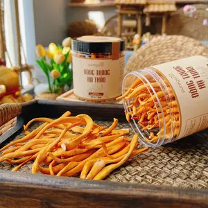 Cordyceps Militaris Dong Trung Ha Thao