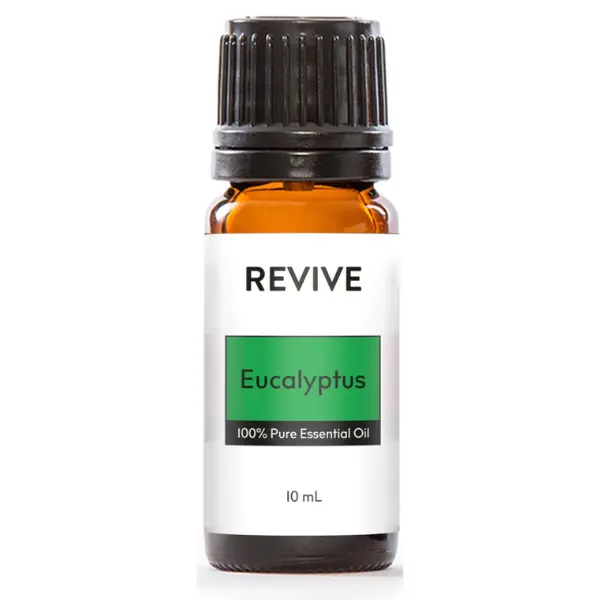 Eucalyptus Essential Oil 10 mL