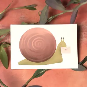 Snail Mail Postcard