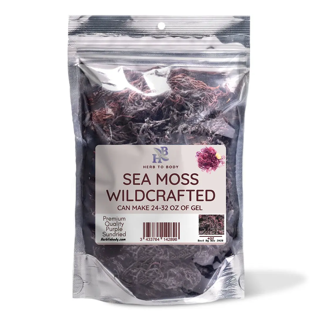 Purple Irish Sea Moss – Raw Sun-Dried – 4 oz (113 g) | Herb To Body