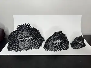 Voronoi Aquarium Cave: Fish & Shrimp Shelter