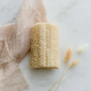 Loofah Sponge - Plastic-Free Sponge for Exfoliating and Cleaning