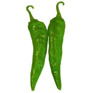 Hatch Green Medium - Big Jim Chile Seeds