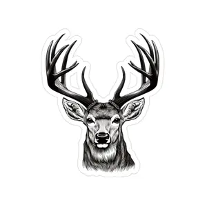 Whitetail Deer Sticker