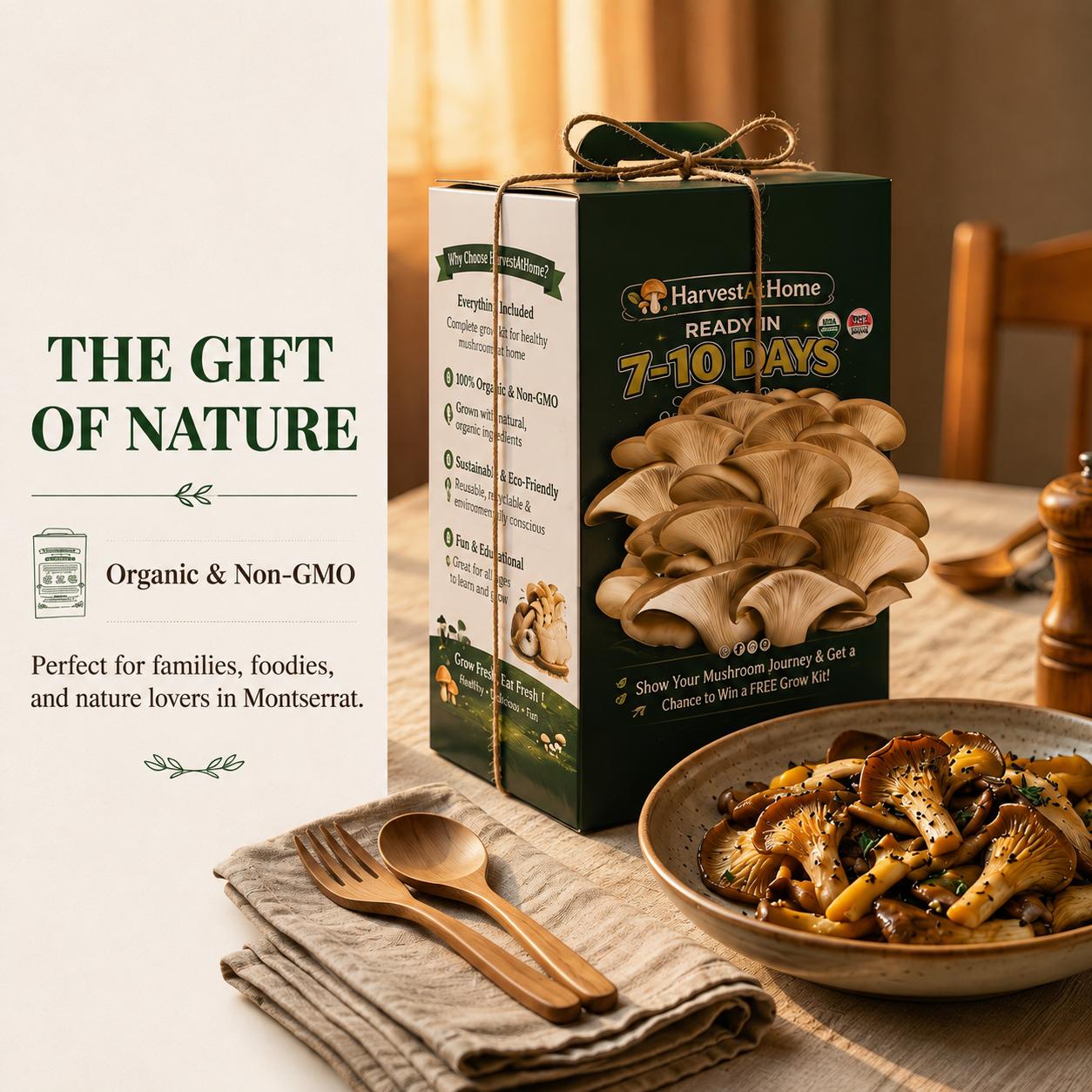 Organic Oyster Mushroom Grow Kit 3.5 lb | 1-7 Days Harvest | Easy to Grow Indoor | No Soil/Sun Required, Multiple Harvests | USDA Organic | Non-GMO | Made in USA | Perfect for Home Kitchen & Gardening EnthusiastsGift for Adults & Kids