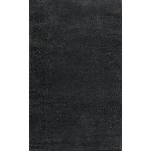 Haze Solid Low-pile Area Rug Black