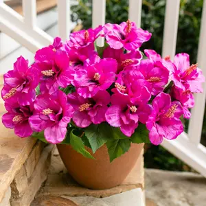 Artificial Hibiscus Flowers for Outdoors Faux Plant Spring Decor, 4 Bundles Fake Tropical Flowers UV Resistant Realistic Outdoor Silk Flower for Outside Pl