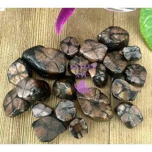 Wholesale Lot 1 lb Natural Chiastolite Tumble Crystal Healing Energy Nice Quality