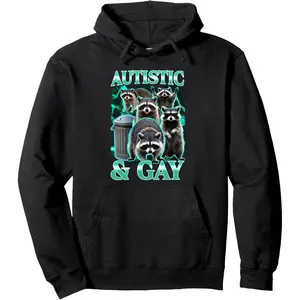 Autistic And Gay Funny Raccoon Meme Bootleg Graphic Humor Pullover Hoodie