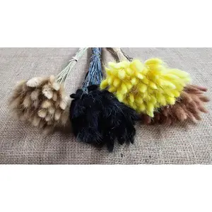 50-55 stems Black  Dried Bunny Tail Rabbit Grass Stems - Laurus Grass - CHOOSE C0LOR - Naturally Dried - Boho Wedding Decor