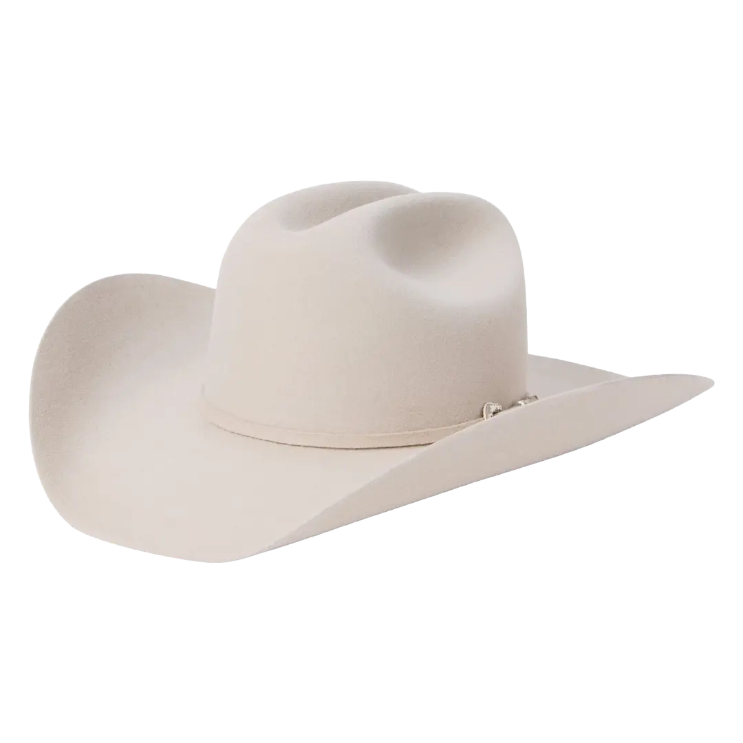 Stetson Skyline 6X USA 250 Edition Silverbelly Felt Western Hat SFS250-754261