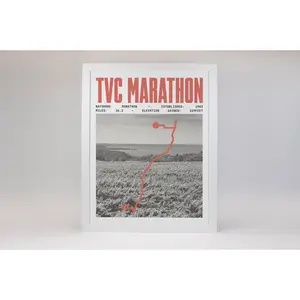 Bayshore Marathon Poster