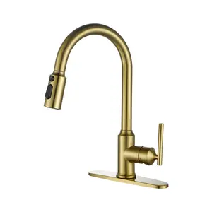 WOWOW Single-Handle Wall Mount Gooseneck Pull Down Sprayer Kitchen Faucet with Deckplate Included in Brushed Gold