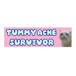 Tummy Ache Survivor | Bumper Sticker AND Magnet | Funny Meme Sticker | 8.7'' X 2.7'' | Waterproof Premium Quality