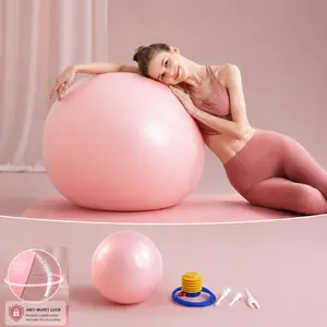 65-75cm Gym Ball, Thickened Durable Fitness Ball , Yoga Exercise Ball for Core Strength & Flexibility Training, Home Workout, Home Workout Equipment workout guide Suitable for Home Gym and Birth, Swiss Ball for Pilates and Stability