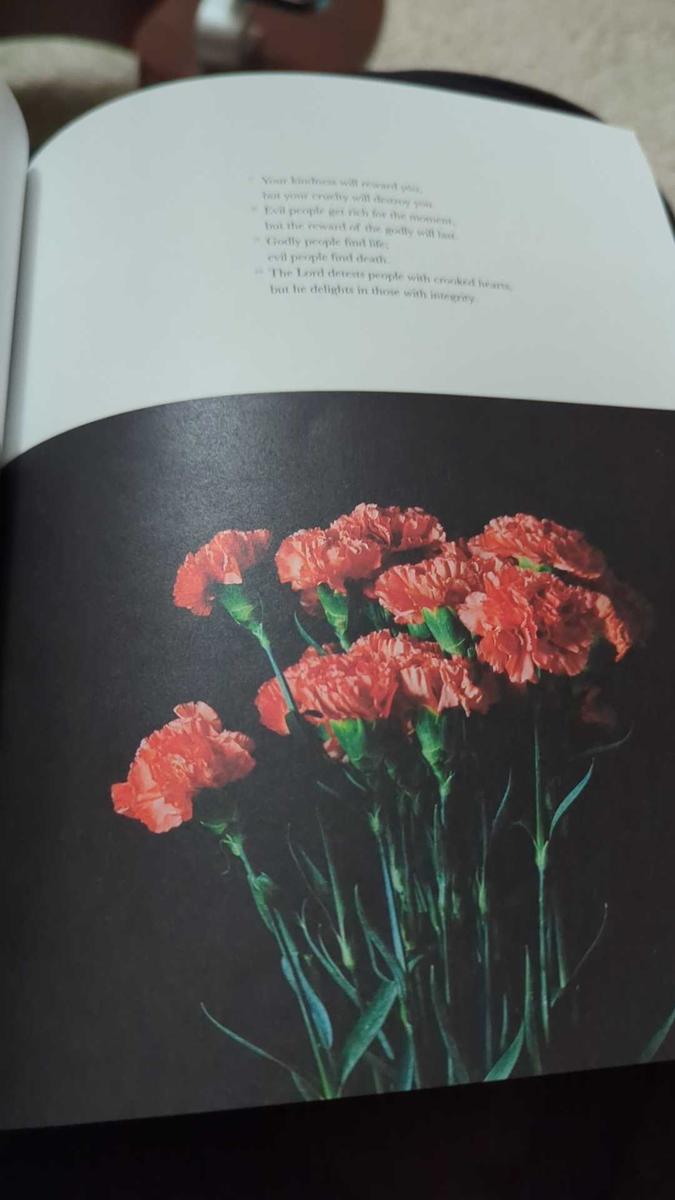 Item: Softcover, New Living Translation (NLT)