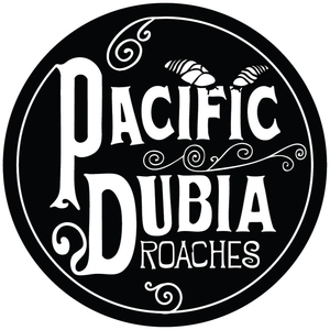 Pacific Dubia