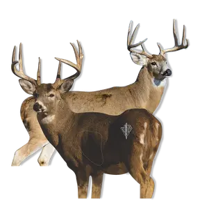 Whitetail "Willy" Bundle