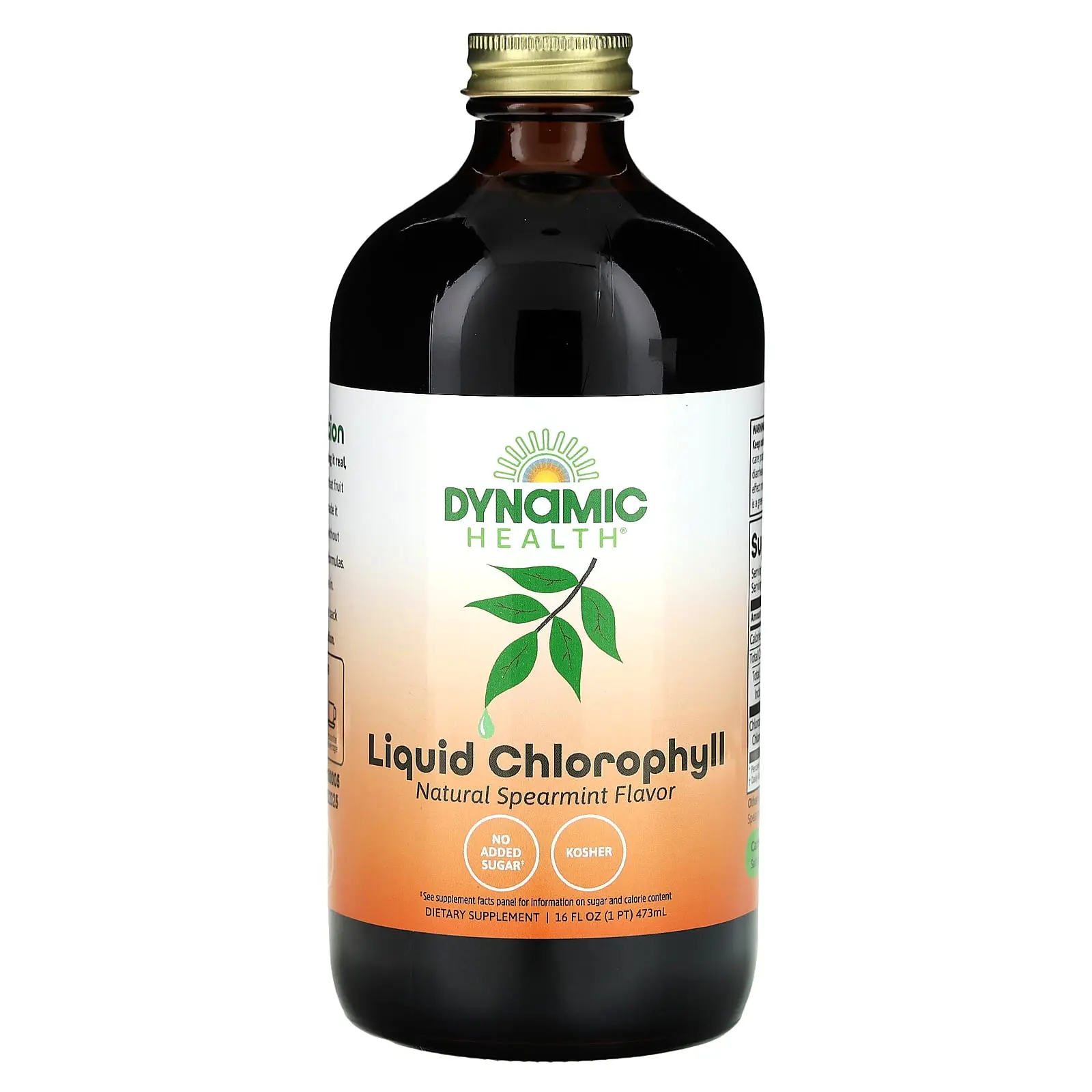 Dynamic Health Liquid Chlorophyll, Natural Spearmint, 16 fl oz (473 ml)
