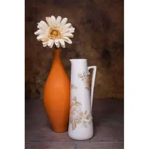 212 MAIN Artistic Orange Vase with Pitcher I Poster Print by C. Thomas Mcnemar, 12x18 Small - Decor for Room Wall Photo Display