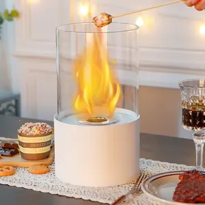 Tabletop Fire Bowl PotIndoor/Outdoor Portable Tabletop Fireplace–Clean-Burning Bio Ethanol Ventless Fireplace Decor Metal Ornaments Gift Glass Room