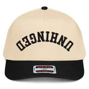 RIVEMUG NX1 Upside Down Unhinged Embroidered 2 Tone Hat Mid Crown Curved Bill Snapback Funny Cap for Men and Women