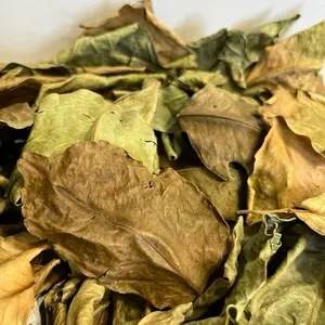 Fey zoranj si Tea Beverage Herbal