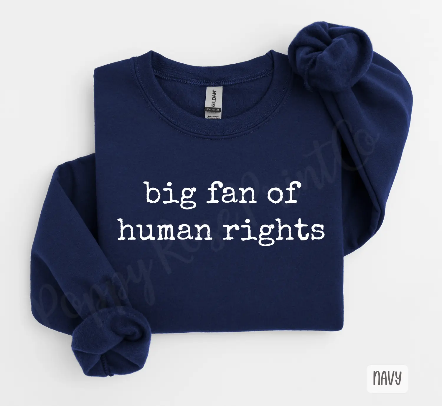 Big Fan Of Human Rights Sweatshirt, Political Crewneck
