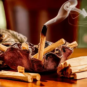 10pcs Palo Santo Incense Sticks, High Resin Palo Santo Holy Wood, Aromatic Scented Smudging Sticks for Meditation Cleaning Healing, Earthy Woody Scent