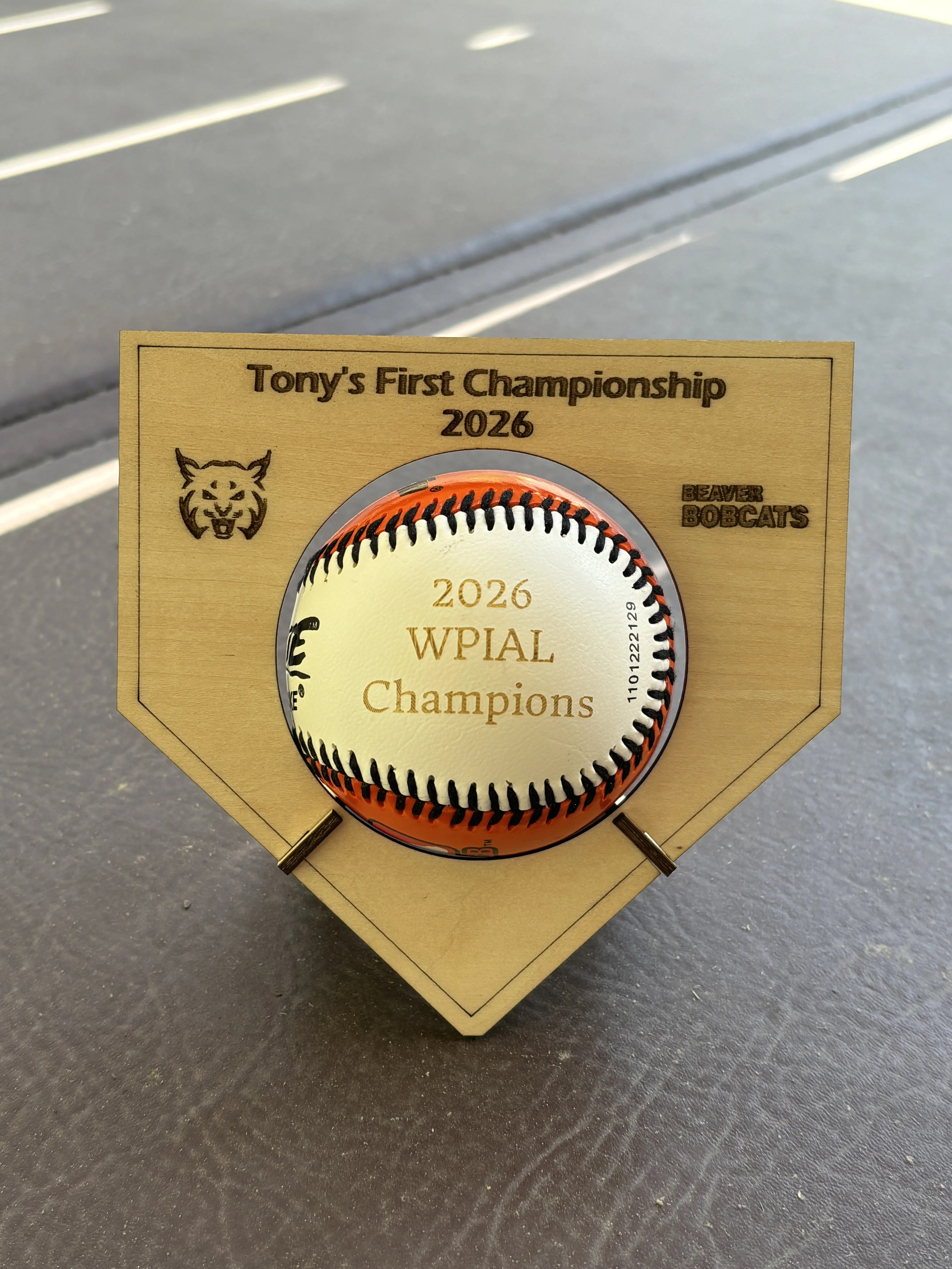 Personalized Baseball or Softball Holder (baseball not included)