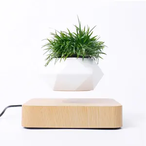 Orbit Bloom Magnetic Levitating Flower Pot