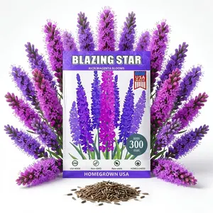 BLAZING STAR Seed Needs, Gayfeather Seeds - 300 Heirloom Seeds for Planting -Perennial, Open Pollinated Wildflowers That Attracts Pollinators to The Garden (1 Pack of 300pcs seeds)